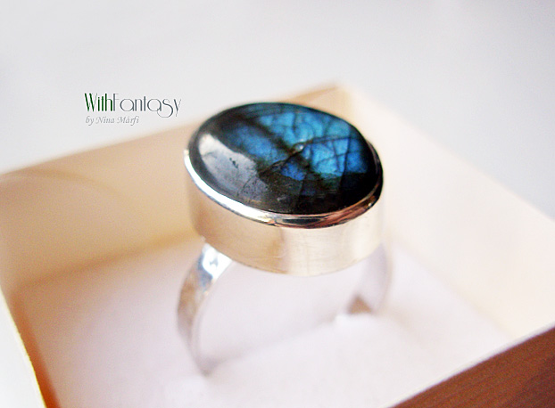 Labrador II - Image 3