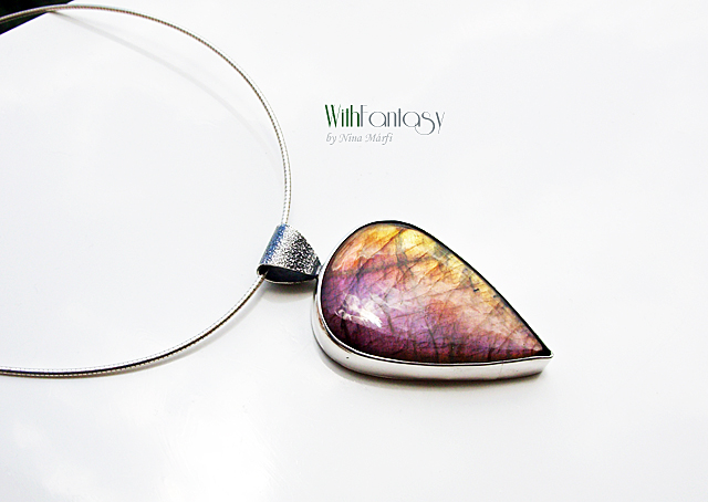 Labrador VII - Image 5