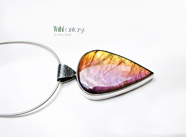 Labrador VII - Image 6