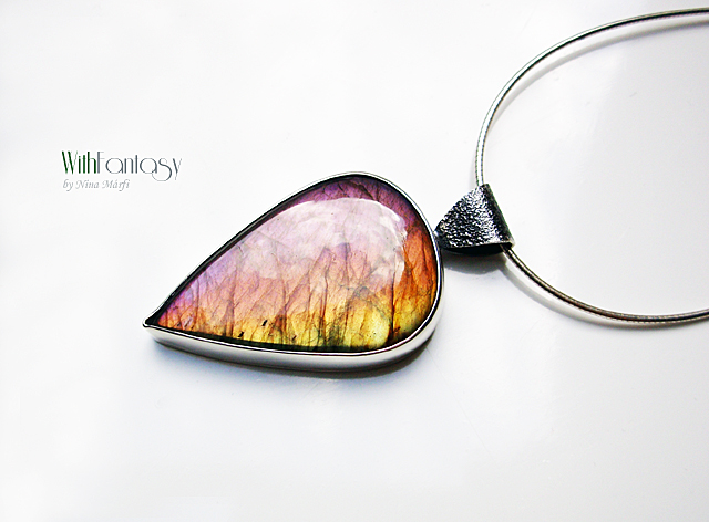 Labrador VII - Image 7