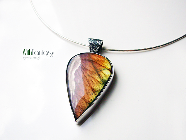 Labrador VII - Image 4