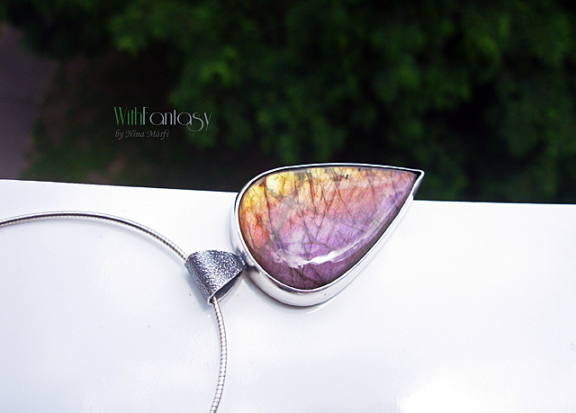 Labrador VII - Image 2