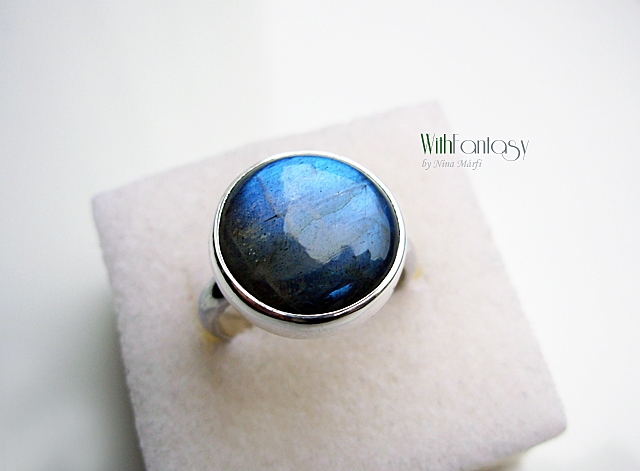 Labrador XII ( ring) - Image 4