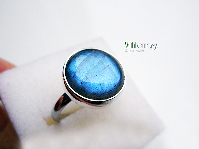 Labrador XII ( ring) - Image 2