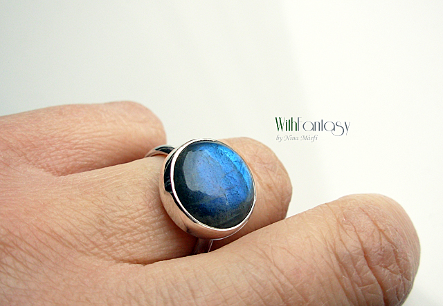 Labrador XII ( ring) - Image 3