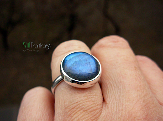 Labrador XII ( ring)