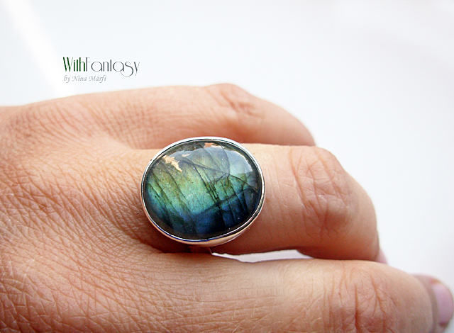 Labrador VIII - Image 5