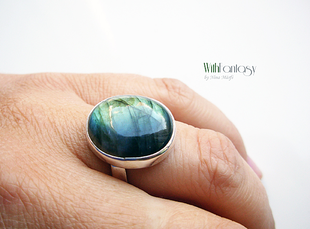 Labrador VIII - Image 4