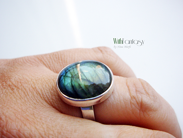 Labrador VIII - Image 6