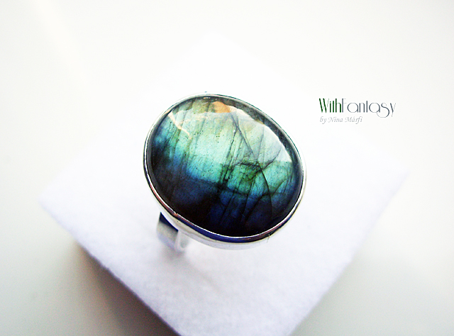 Labrador VIII - Image 3