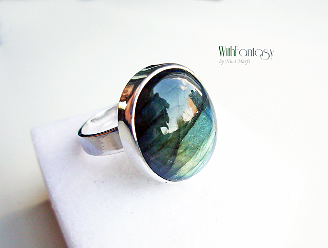 Labrador VIII - Image 2