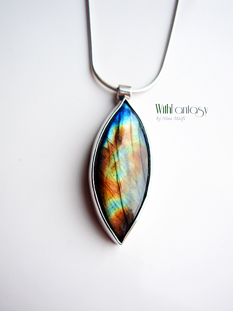 Labrador VIII - Image 7