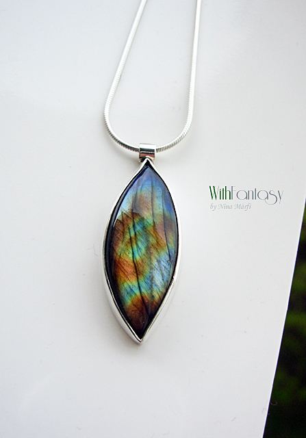 Labrador VIII - Image 6