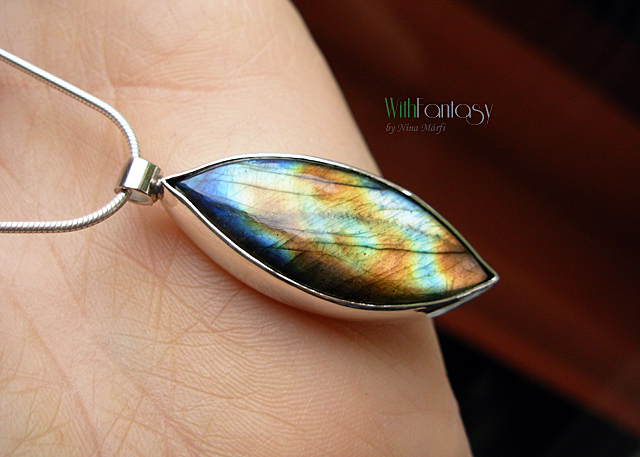 Labrador VIII - Image 2