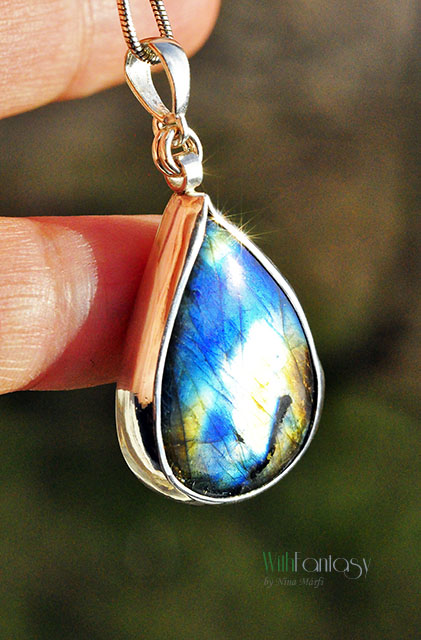 Labrador XI - obrazek 3