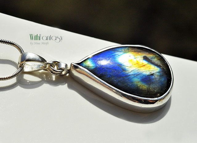 Labrador XI - obrazek 6