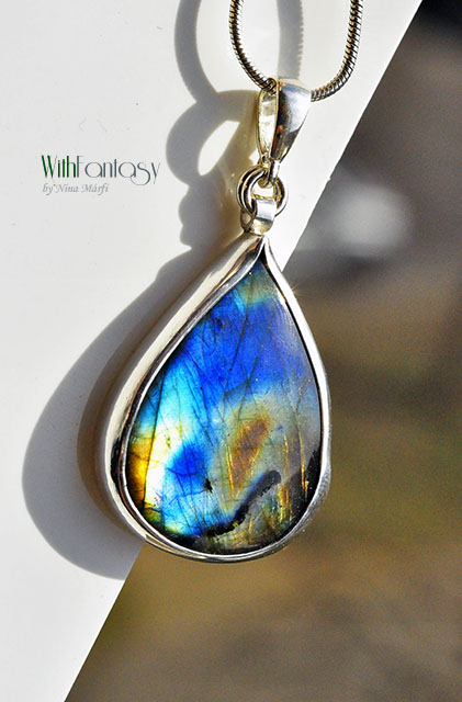 Labrador XI - obrazek 4