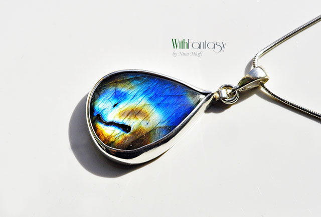 Labrador XI - obrazek 7